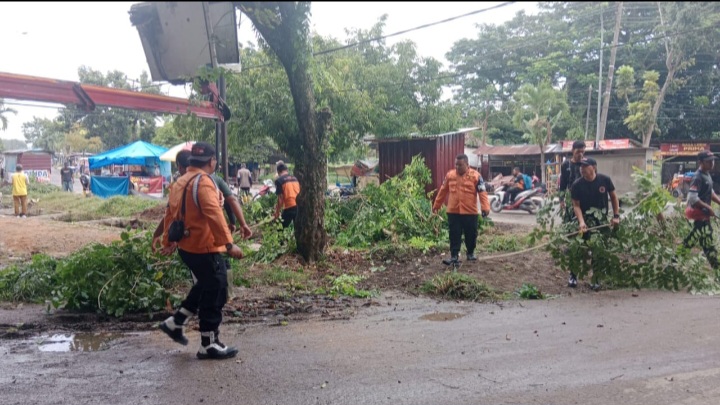 Kepala BPBD Labuhanbatu  Dukung Program Bupati,Tebas Pohon Berbahaya